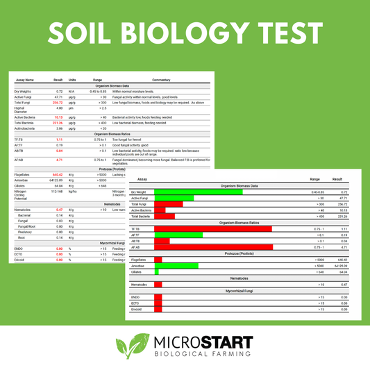 Soil Biology Test